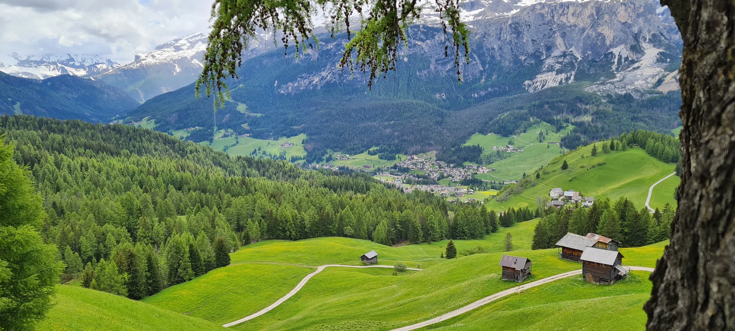 Blick über Badia und die Wälder von Alta Badia